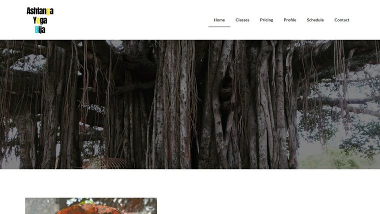 アシュタンガヨガビージャの公式サイト